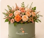 Cajas y Hat Boxes Floristería Encanto